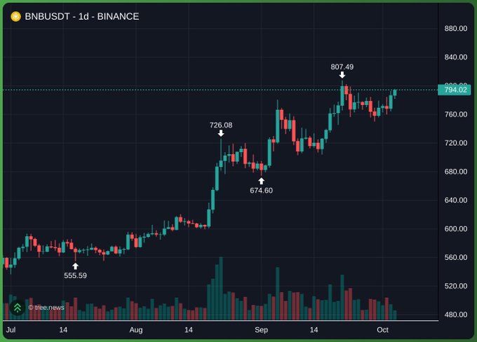 A daily candlestick price chart for BNBUSDT on BINANCE, showing price action from July through October with key levels marked at 555.59, 674.60, 726.08, and 807.49, with the current price at 794.02.