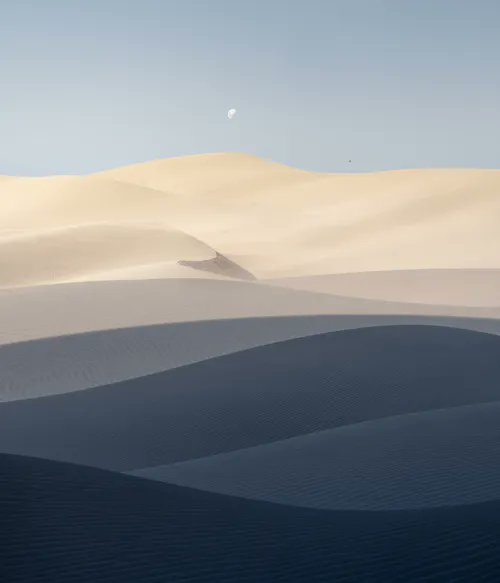 Smooth white sand dunes stretch across the landscape under a pale blue sky with the moon visible in the distance.