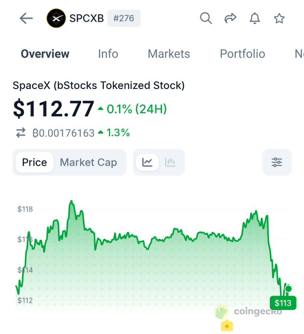 A CoinGecko price page for 'SPCXB #276 - SpaceX (bStocks Tokenized Stock)' showing a price of $112.77 with a 0.1% 24H increase and a green price chart.