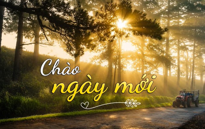 A serene forest landscape at sunrise with sun rays piercing through the trees, featuring Vietnamese text 'Chào ngày mới' (Hello new day) and a small tractor on a dirt road.