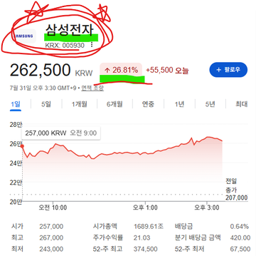 A stock chart screenshot for Samsung Electronics (KRX: 005930) showing a price of 262,500 KRW, up 26.81% (+55,500), with a red circle drawn around the company name and ticker.