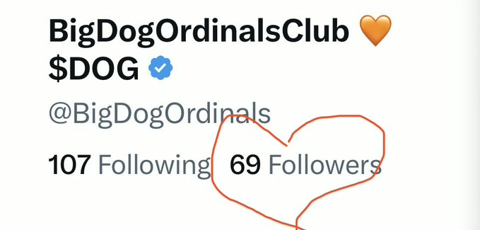 A Twitter/X profile screenshot for 'BigDogOrdinalsClub 🧡 $DOG' (@BigDogOrdinals) showing 107 Following and 69 Followers, with the follower count circled in red.