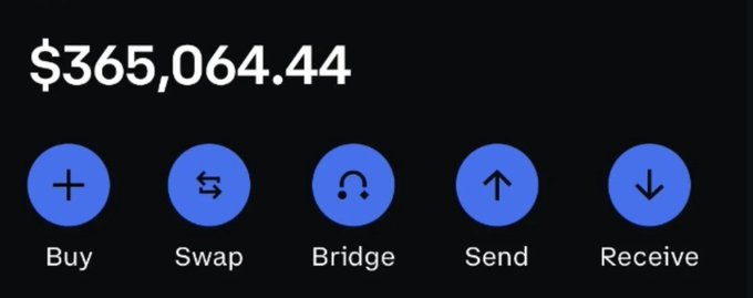 A crypto wallet interface displays a balance of $365,064.44 with action buttons for Buy, Swap, Bridge, Send, and Receive, illustrating the post's boast about holding a six-figure balance across numerous wallets.