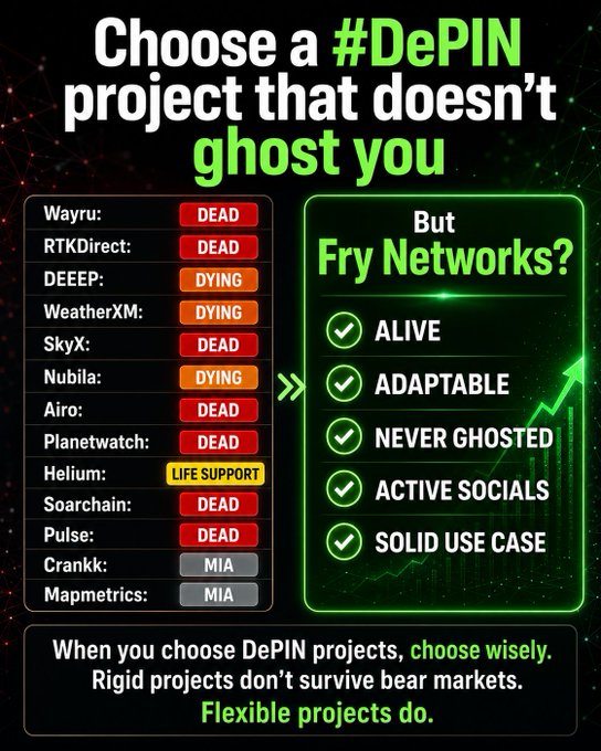 A promotional graphic for Fry Networks contrasts its "ALIVE," "ADAPTABLE," "NEVER GHOSTED" status against a list of failed DePIN projects (Wayru, RTKDirect, Helium, WeatherXM, etc.), with the tagline "Choose a #DePIN project that doesn't ghost you" and a closing message emphasizing that flexible projects survive bear markets.