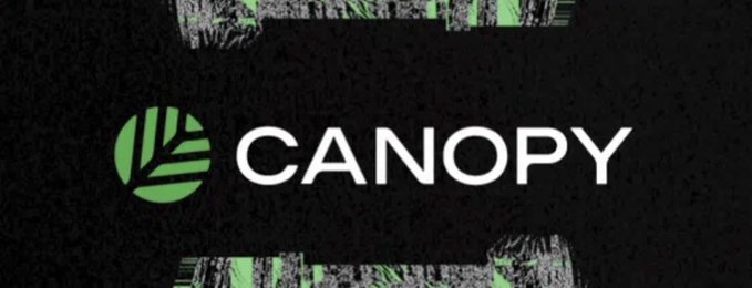 The image displays the "CANOPY" logo, featuring white text next to a green leaf emblem on a textured black background with glitch-like green and white distortion effects. This branding ties to the post's discussion of appchains, likely representing Canopy's role in the evolving landscape of application-specific blockchain architecture and developer infrastructure.
