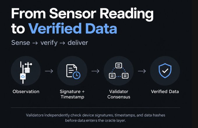 An infographic titled 'From Sensor Reading to Verified Data' illustrating a process flow of Observation, Signature + Timestamp, Validator Consensus, and Verified Data.