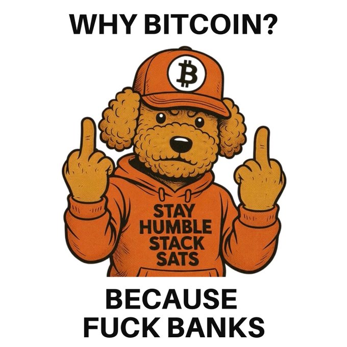 The image shows a cartoon dog wearing an orange baseball cap with the Bitcoin "₿" logo and an orange hoodie reading "STAY HUMBLE STACK SATS," with text above and below reading "WHY BITCOIN?" and "BECAUSE FUCK BANKS," respectively. The meme's anti-bank sentiment and "stay humble, stack sats" Bitcoin advocacy align perfectly with the "#NeverForget #Bitcoin" post, reinforcing a call to remember Bitcoin's decentralized, anti-establishment roots.