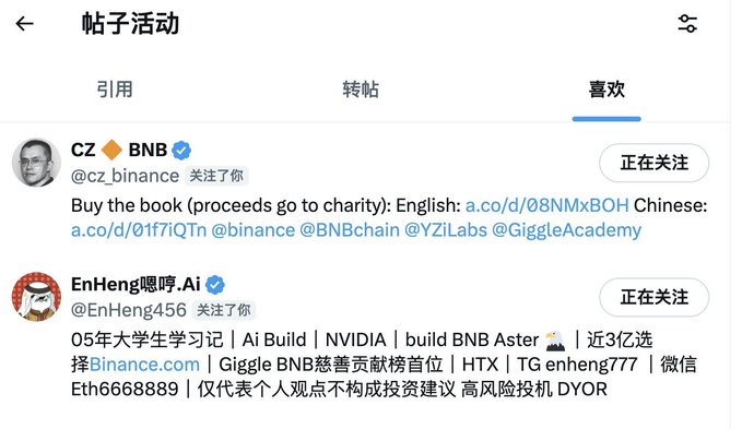 A screenshot of a social media "Post Activity" page in Chinese, showing "Likes" tab results featuring two users: CZ (Binance founder) promoting a charity book purchase with links to a.co/d/08NMxBOH, and EnHeng嗚嗚.Ai with a crypto-focused bio mentioning Binance, NVIDIA, BNB, Aster, and HTX with 300M+ funding.

The image appears unrelated to the accompanying Turkish post about an experimental fully onchain AI project by @Blonskr, showing instead a Chinese-language crypto social media notification page that has no apparent connection to the onchain AI discussion.