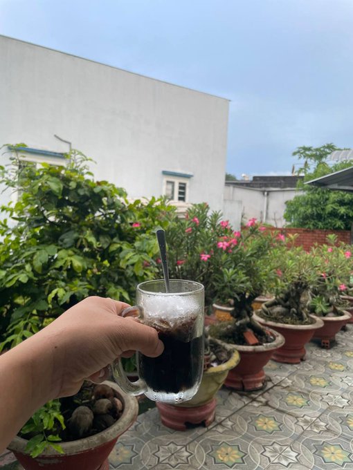 A hand holds a glass mug filled with a dark iced beverage in a rooftop garden setting, surrounded by potted plants, bonsai trees, and pink flowers.