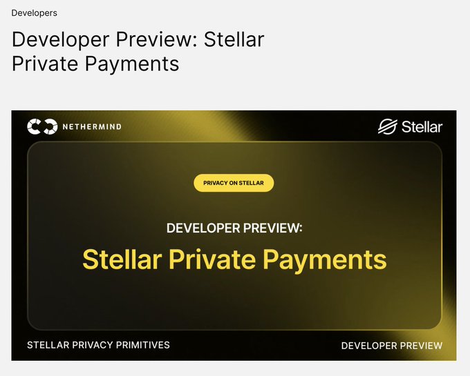 The image is a developer preview announcement banner from Nethermind and Stellar titled "Stellar Private Payments," featuring a "Privacy on Stellar" badge and tagged under "Stellar Privacy Primitives" — directly supporting the post's point about $XLM adding critical privacy features for institutions handling large, sensitive transactions that competitors shouldn't be able to observe on-chain.