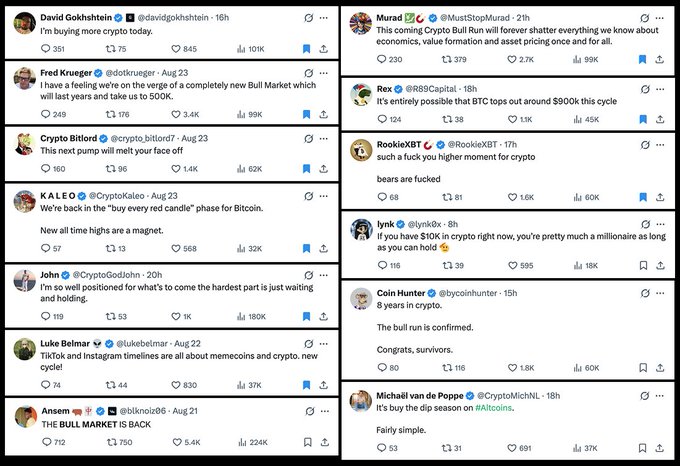 The image shows a collage of bullish cryptocurrency tweets from various accounts (including David Gokhshtein, Fred Krueger, Crypto Bilibili, KALEO, and others) celebrating Bitcoin's price action, with mentions of BTC tops around $900k, predictions of a "new Bull Market," and declarations like "THE BULL MARKET IS BACK" and "The bull run is confirmed."

The image illustrates the post's point about echo chambers by showcasing a curated feed of overwhelmingly bullish crypto sentiment, demonstrating how one person's timeline can appear unanimously optimistic while masking the more bearish or mixed viewpoints that exist outside that bubble.