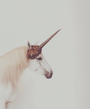 A white unicorn with a golden horn decorated with flowers is shown in profile against a light background.