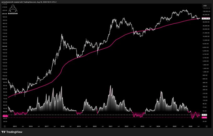 A TradingView chart titled "JamesLaserLiz created with TradingView.com, Aug 18, 2026 18:31 UTC+1" showing Bitcoin's (BTCUSD) logarithmic price action from 2010 to 2026, with a magenta 50-week moving average tracking the long-term uptrend through multiple market cycles and corrections. The chart's persistent bull-trend structure—where major dips consistently hold the moving average as support—visually reinforces the message that "whales" buy during these downturns and patiently wait out volatility to ultimately win, illustrating how strategic accumulation during periods of fear historically precedes major recoveries.