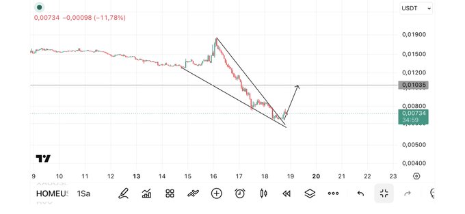A trading chart shows the HOMEO/USDT pair in a downtrend with a descending channel pattern, indicating a price drop of -11.78% to 0.00734.