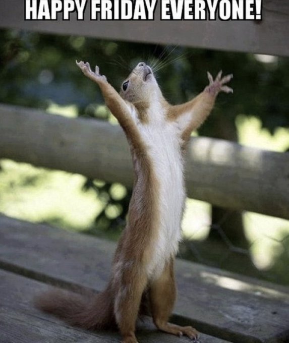 The image features a squirrel standing on top of a wooden bench with its arms raised high into the air. The squirrel appears to be celebrating or expressing joy, possibly because it has won something or achieved a personal milestone. The caption of the image reads "Happy Friday everyone!".