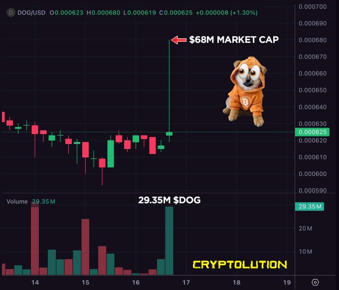A cryptocurrency price chart for DOG/USD showing a large green spike with an arrow pointing to a $68M market cap, featuring a Shiba Inu dog wearing an orange hoodie and the watermark 'CRYPTOLUTION'.