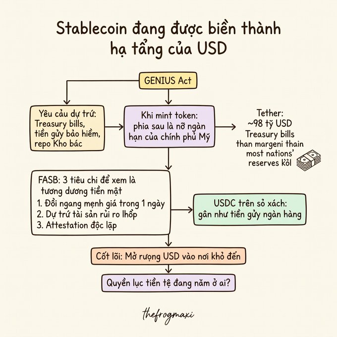 An infographic in Vietnamese titled "Stablecoin đang được biến thành hạ tầng của USD" (Stablecoins are becoming USD infrastructure), explaining the GENIUS Act, Tether's ~$98B Treasury bills, USDC's bank-like structure, and the core question of monetary power.