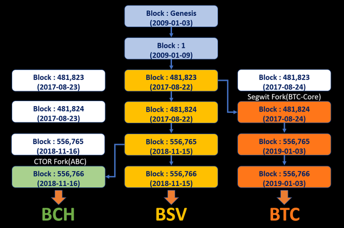 A flowchart showing the blockchain forks from Bitcoin's Genesis Block, branching into BCH (CTOR Fork on 2018-11-16), BSV, and BTC (Segwit Fork on 2017-08-24).