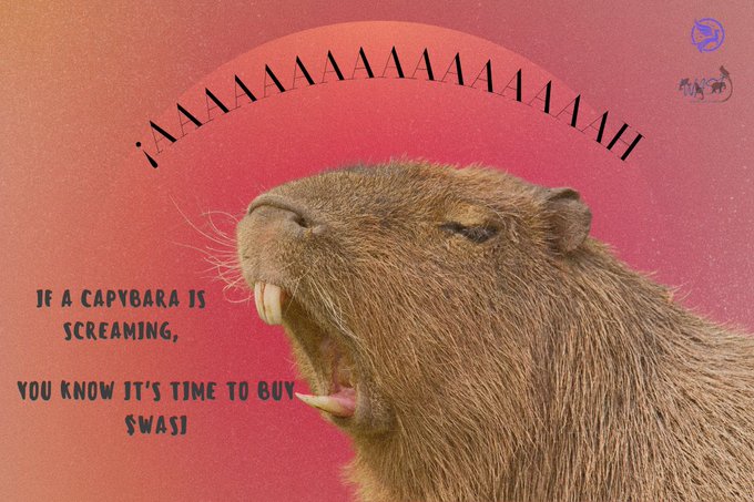 The image features a brown animal, possibly a rodent or a beaver, with its mouth open as if it's roaring. The caption below the image reads "If a capybara is screaming, you know it's time to buy #WASI Capibara Knows... astratails.com". This post seems to be promoting a product related to the animal featured in the image or possibly discussing the animal itself.
