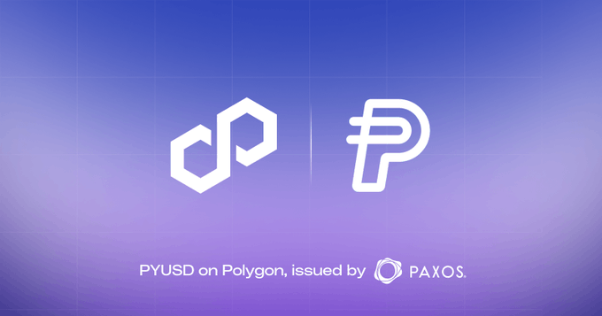 The image features the Polygon and Paxos logos side by side on a purple gradient background, with the text "PYUSD on Polygon, issued by PAXOS." below. The graphic visually announces PayPal's USD stablecoin (PYUSD) being natively issued on the Polygon blockchain through Paxos, supporting the news of expanded cross-border stablecoin payment capabilities.