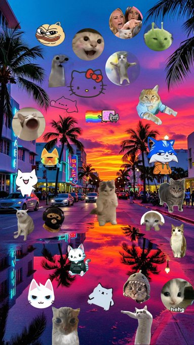 A vibrant sunset street scene is playfully overrun with numerous cat stickers, emojis, and animal photos—including Hello Kitty, the crying laughing meme, and a "hehe" text—transforming the tropical urban backdrop into a chaotic feline takeover that perfectly matches the "cats take the streets" caption.