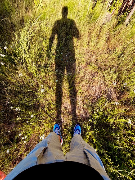 A first-person view shows blue sneakers and khaki shorts, with the photographer's shadow cast on a grassy path in sunlight.