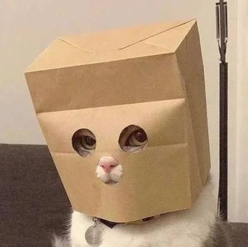 A humorous photo of a white cat wearing a brown cardboard box on its head that has holes cut out to reveal its eyes and nose.