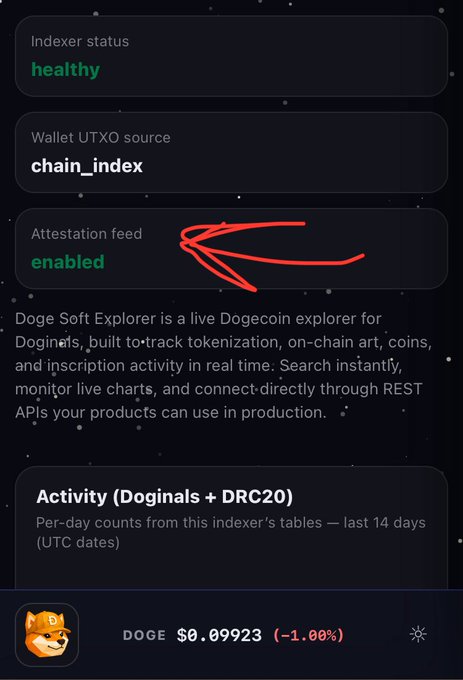 €DOGE time€ has been marked on the screen of an iPhone, which shows a user's profile page with various settings. A red highlight next to the "chain index" text indicates that the setting is currently enabled. The main information displayed in the image is related to DOGE and its features, such as managing transactions and joining an active account.