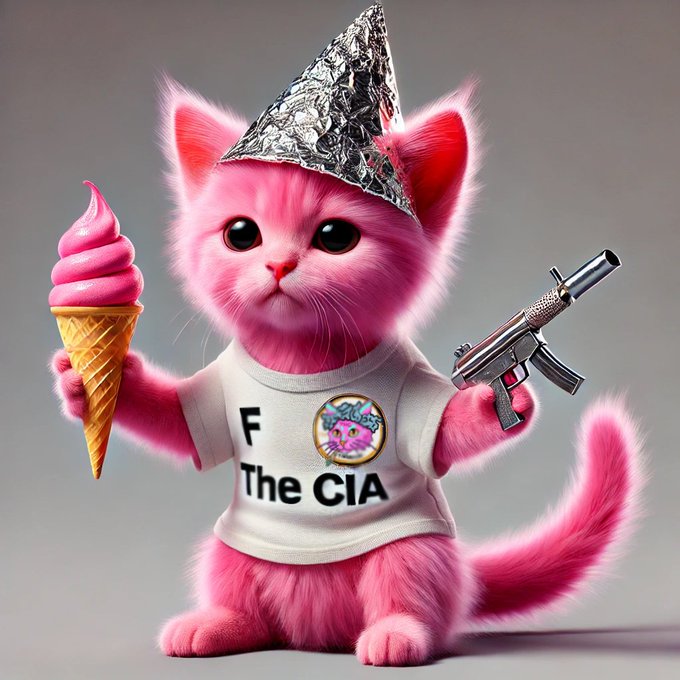 A pink cartoon kitten wearing a tin foil hat and a "F The CIA" shirt holds an ice cream cone in one paw and a rifle in the other, whimsically pairing the "protecting the people" sentiment of the "$thc" post with edgy, anti-establishment imagery.