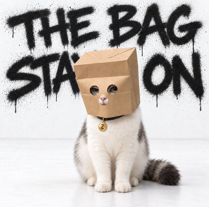 Humorous image of a white and grey cat wearing a brown paper bag on its head with a 'Z' collar tag, set against a white wall with graffiti-style black spray paint text reading 'THE BAG STAY ON'.