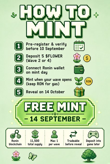 A green pixel-art styled infographic titled 'HOW TO MINT' listing 5 steps for a free mint on 14 September, with details like pre-registering, depositing $FLOWER, connecting a Ronin wallet, and a total supply of 11,500.