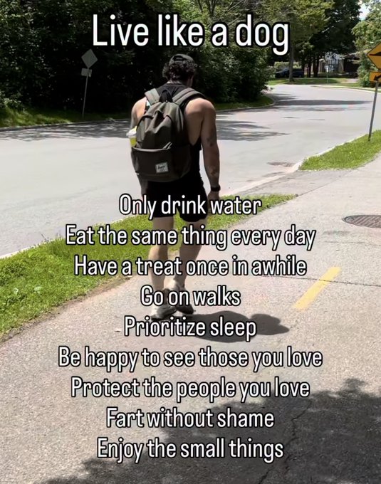 A meme titled 'Live like a dog' shows a person walking away wearing a backpack and shorts, listing advice like 'Only drink water', 'Eat the same thing every day', and 'Fart without shame'.
