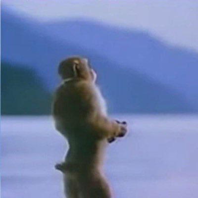 A low-resolution photo shows a small monkey standing upright on its hind legs by a body of water with mountains in the misty background.