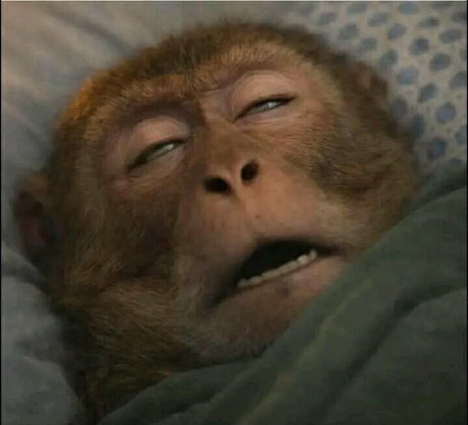 A sleeping monkey yawns in bed with its mouth wide open, fittingly accompanying a post about winding down for the night while reflecting on long-term crypto projects like @quipnetwork and @TheARCTERMINAL.