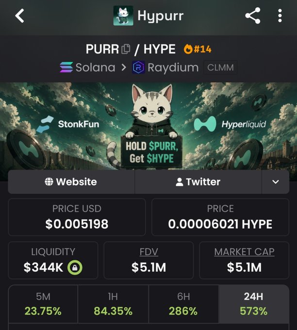 A cryptocurrency page showing Hypurr token (PURR/HYPE #14) on Solana and Raydium (CLMM) with a price of $0.005198 USD, liquidity of $344K, FDV of $5.1M, and market cap of $5.1M, with notable 24H gain of 573%.