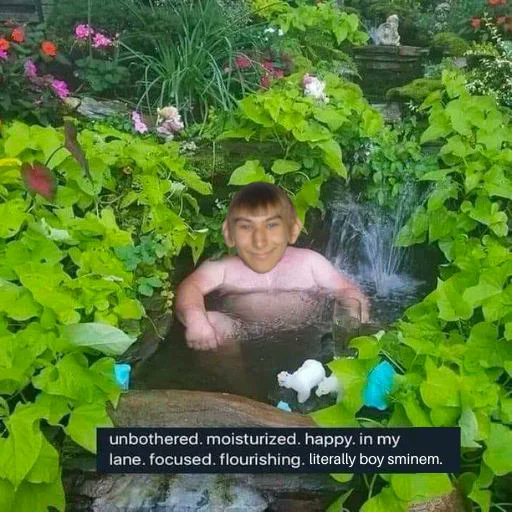 A humorous meme shows a man superimposed into a pond surrounded by lush greenery, with sunlight reflecting on the water; text at the bottom reads, 'unbothered. moisturized. happy. in my lane. focused. flourishing. literally boy sminem.'