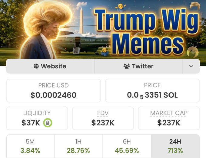 The image shows a meme coin tracker page for "Trump Wig Memes" ($WIG) displaying a price of $0.0002460 USD (0.0000003351 SOL), with $37K liquidity and a $237K market cap showing explosive 713% growth in 24 hours, visually featuring Donald Trump with a signature blonde wig in front of Air Force One. The screenshot supports the post's bullish case for the freshly launched $WIG token riding the Trump meme coin trend, highlighting its rapid early price action as evidence of potential for further gains toward a $1M market cap.