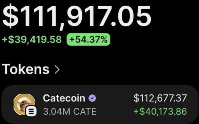 A crypto wallet screenshot shows a portfolio value of $111,917.05 with a +$39,419.58 gain (+54.37%), held primarily in 3.04M Catecoin (CATE) worth $112,677.31, displayed alongside a giveaway post requesting users to drop their $SOL address for a chance to win.