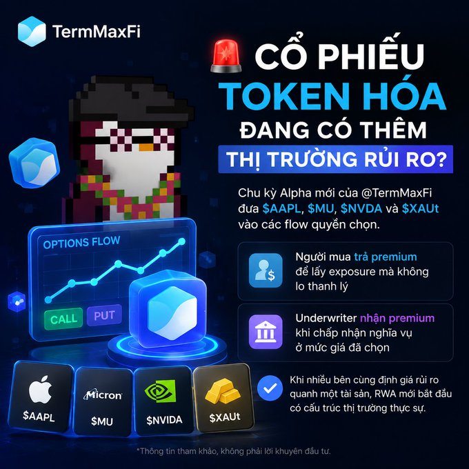 A promotional graphic for 'TermMaxFi' with the headline 'CỔ PHIẾU TOKEN HÓA ĐANG CÓ THÊM THỊ TRƯỜNG RỦI RO?' featuring options flow data and tickers $AAPL, $MU, $NVDA, and $XAUT.