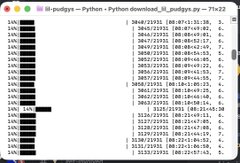 A screenshot of a Python programming environment showing a window titled 'ill-nudges.py' with code on the left and output data on the right.