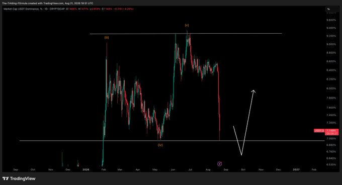 A TradingView daily chart of USDT.D (USDT Dominance) showing price action marked with Elliott Wave labels (iii, iv, v) between key horizontal levels, with an arrow projecting a potential sweep of the lows near 6.80%—visualizing the post's thesis that one final leg down in USDT dominance would correspond to one more leg up in crypto.