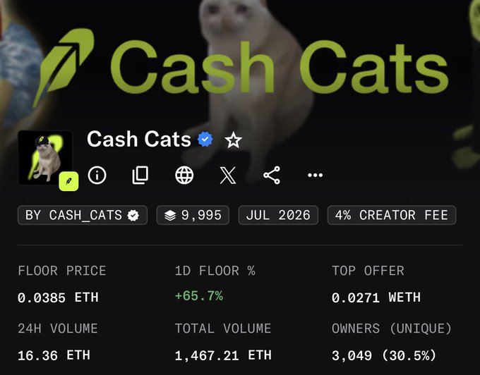 A screenshot of the 'Cash Cats' NFT collection on OpenSea, showing a cat illustration, floor price of 0.0385 ETH, 1D floor % of +65.7%, top offer of 0.0271 WETH, and 3,049 unique owners.