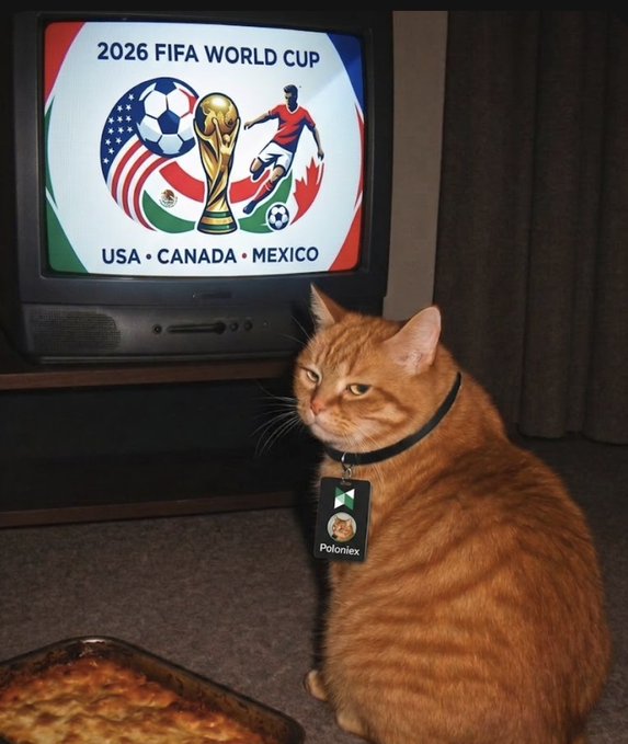 An orange tabby cat named "Poloniex" (wearing a name tag) sits beside a pizza, staring past the camera in front of a TV displaying the 2026 FIFA World Cup USA • Canada • Mexico logo—setting the stage for a "GM" (good morning) post that suggests a cozy morning of World Cup soccer watching.