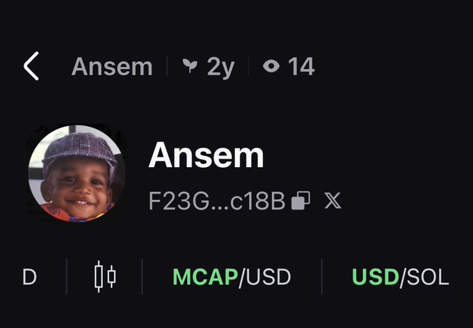 A mobile app screen showing a cryptocurrency token profile for 'Ansem' (F23G...c18B) with the account being 2 years old and having 14 followers, displaying MCAP/USD and USD/SOL metrics.