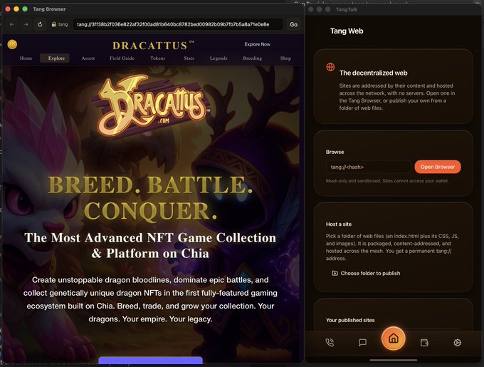 Two browser windows are shown: one displaying the 'DRACATTUS' NFT game website with the tagline 'BREED. BATTLE. CONQUER.' and the other showing the 'Tang Talk' interface for the decentralized Tang Web.