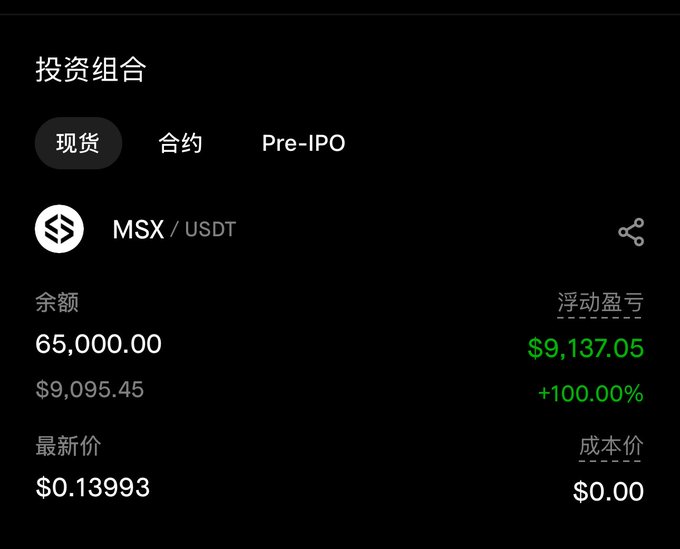 A cryptocurrency portfolio screen showing MSX/USDT investment with a balance of 65,000.00 ($9,095.45), floating profit of $9,137.05 (+100.00%), current price $0.13993, in Chinese interface.