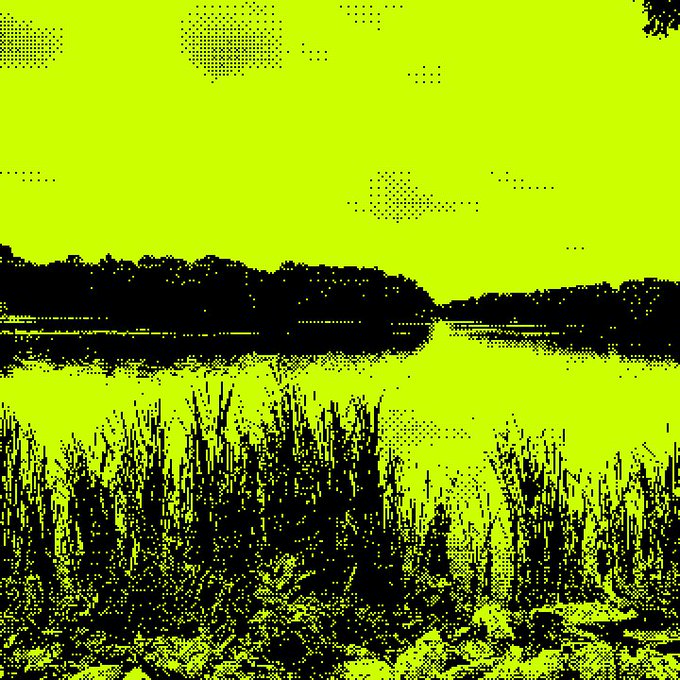 A stylized, high-contrast yellow and black image depicts a serene lake scene with tall grasses in the foreground and a tree-lined shore in the distance. The image complements the post's "gm" greeting and "checking out whats in my hood" caption, visually representing the local neighborhood vibe being explored alongside the @OnChainHoodies mint announcement.