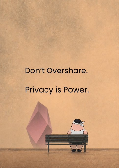 An illustration featuring a cartoon character wearing a cap and eye mask sitting on a bench next to a pink Ethereum logo, with the text "Don't Overshare. Privacy is Power." against a tan background.