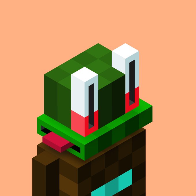 A Minecraft frog character is shown, likely referencing the popular internet meme of frogs in green helmets, alongside the caption "Preserved on Bitcoin," suggesting the character's image is being permanently inscribed on the Bitcoin blockchain.