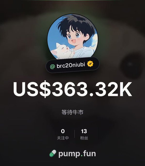 A profile screenshot shows the user "@brc20niubi" on pump.fun with a portfolio value of US$363.32K, the Chinese caption "等待牛市" ("Waiting for the bull market"), 0 accounts followed, and 13 followers, visually reinforcing the poster's lament about missing out on profitable opportunities during their time away. The sizable on-chain holdings contrast with the user's self-described inexperience, underscoring the irony of having significant capital while still feeling like a beginner.
